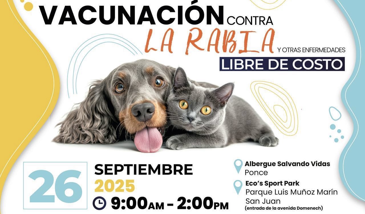 Api Rabia Fsd Salud impulsa campaña gratuita de vacunación contra la rabia para ...